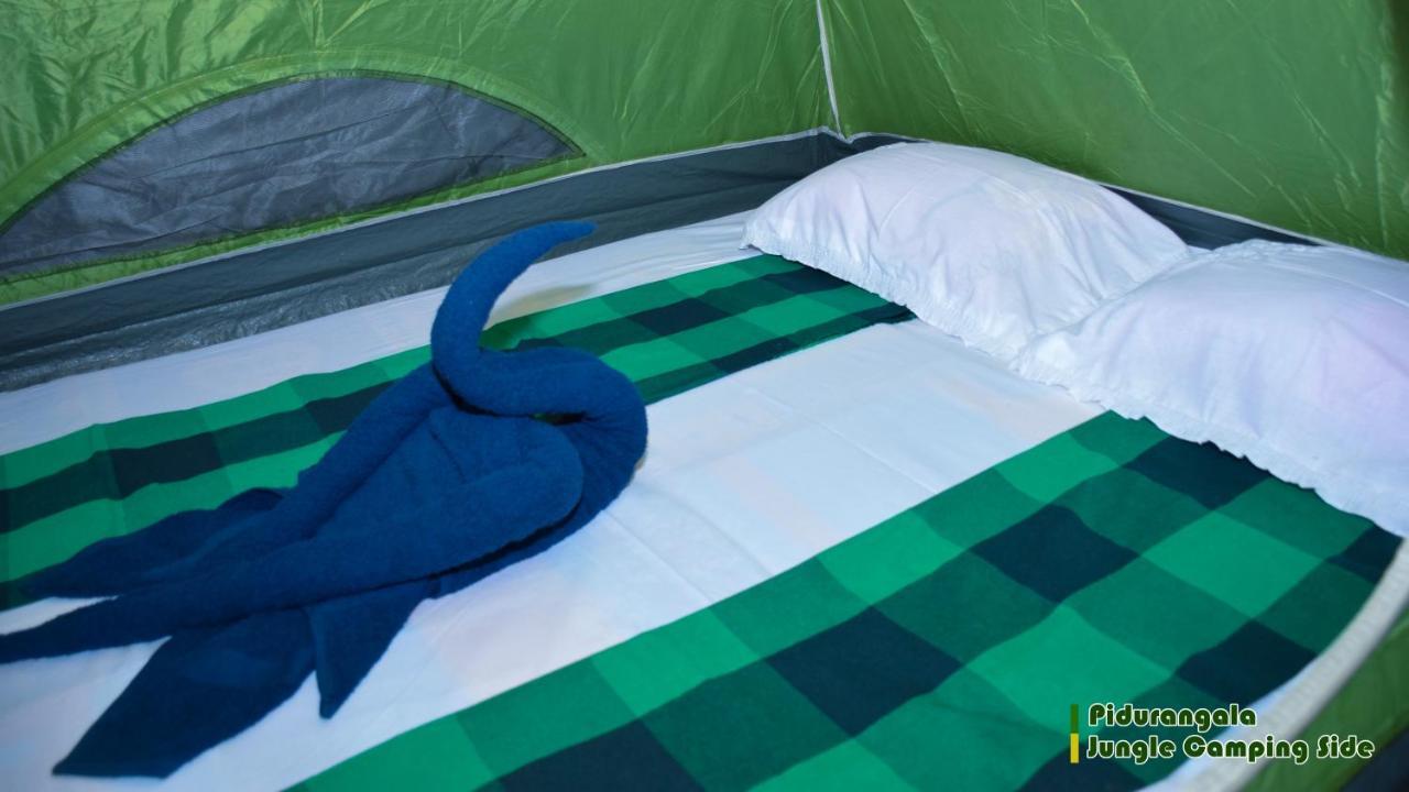 Sigiri Jungle Camping Hotell Sigiriya Eksteriør bilde