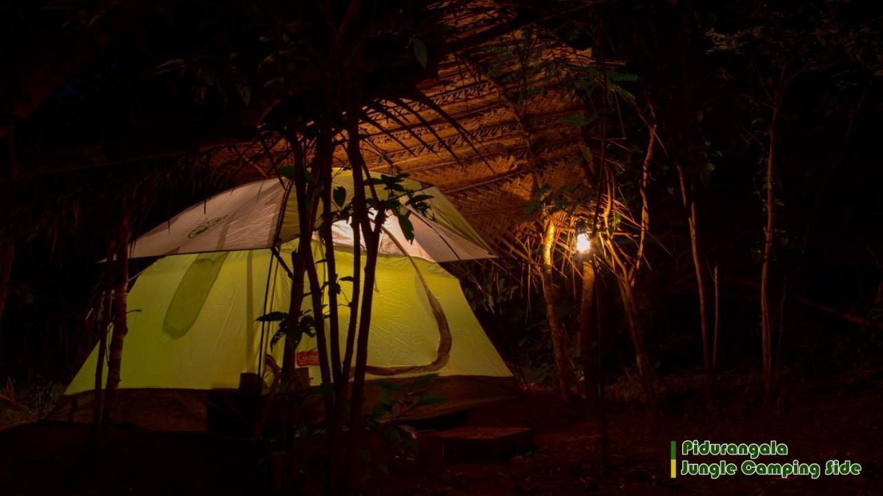 Sigiri Jungle Camping Hotell Sigiriya Eksteriør bilde